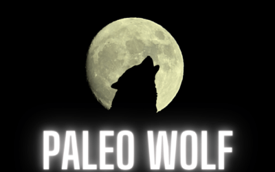 Paleo Wolf